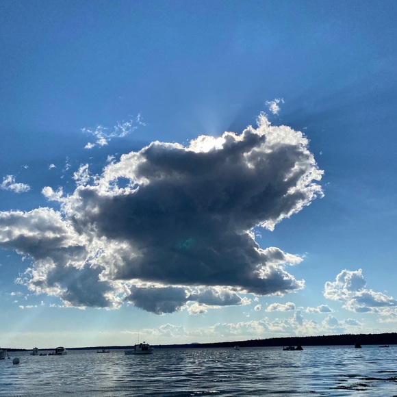 Meet your Posher, Reeya - Picture 1 of 1